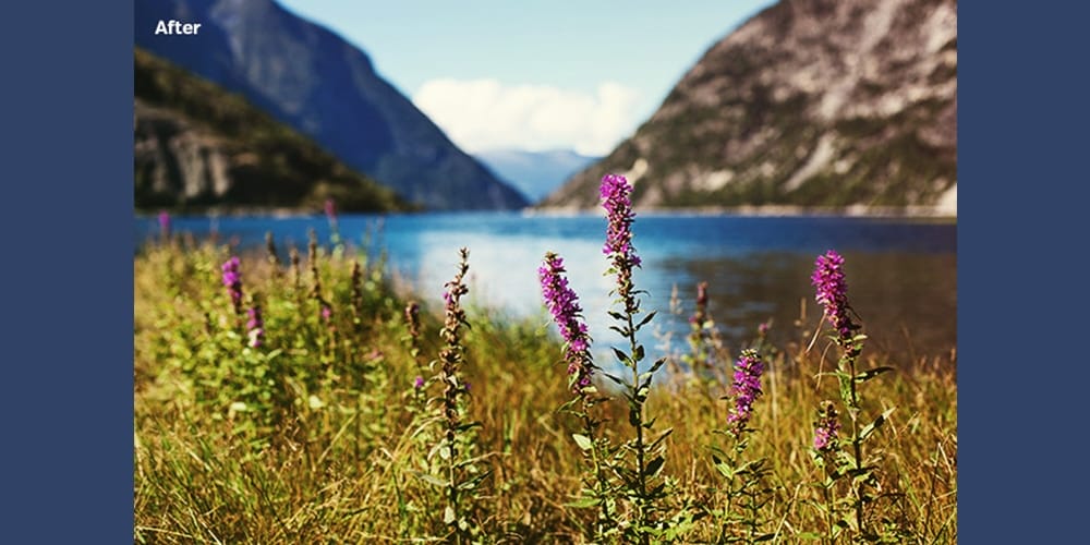 Latest Free Photoshop Actions 218 Free Film Effect Photoshop Action