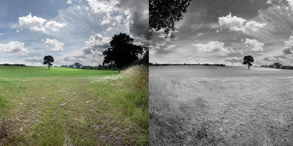 Latest Free Photoshop Actions 73 Gritty Monochrome BW Effect