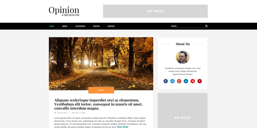 Opinion Free Blog Template PSD
