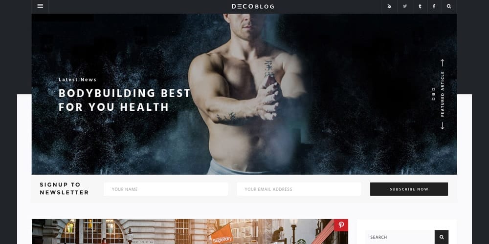 Free Portfolio Website Templates (PSD , HTML) 48 Personal Blog Template PSD