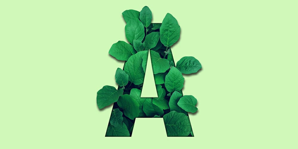 Realistic Leaf Text Effect