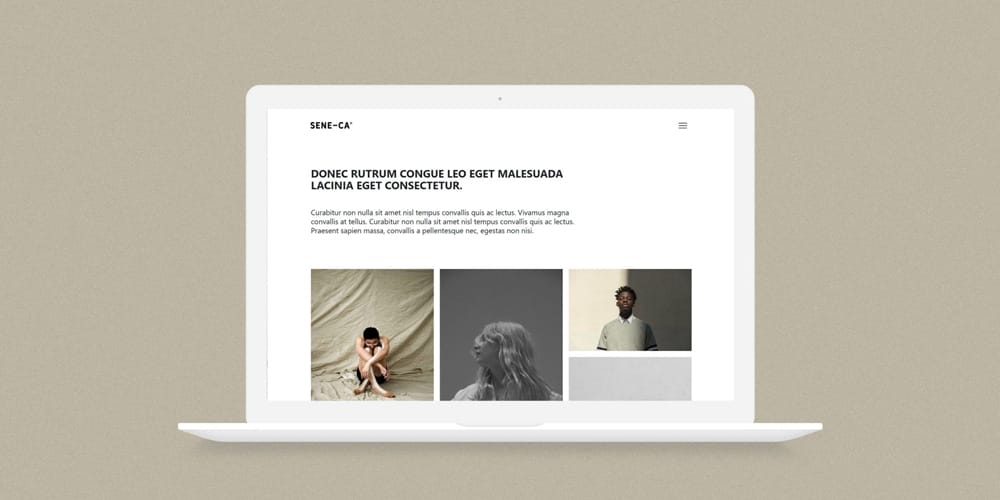 Seneca HTML Template