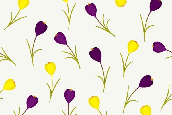 Spring Floral Pattern