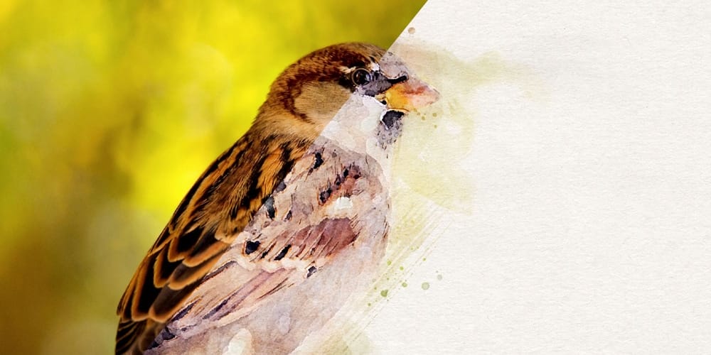 Latest Free Photoshop Actions 207 Watercolor Artist Photoshop Action