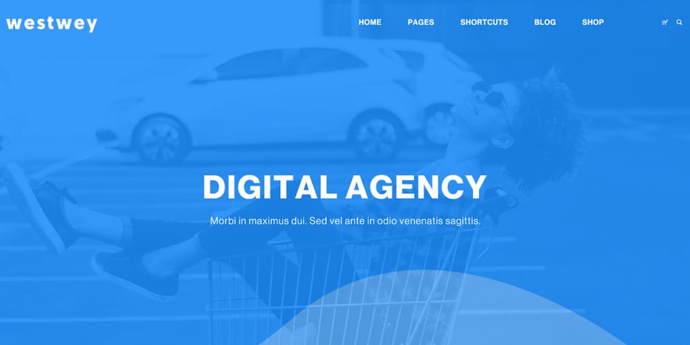 Best Free Web Templates 2023 143 Westwey Agency Web Template PSD