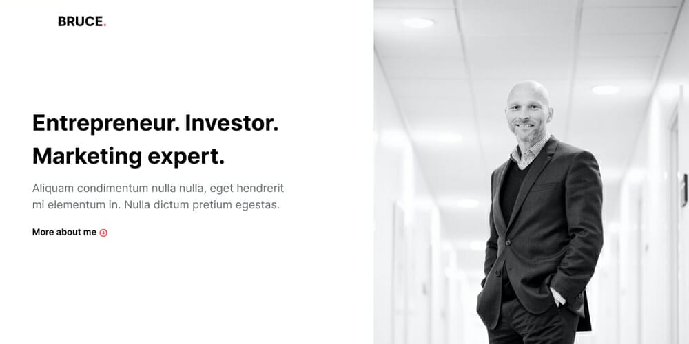 Free Portfolio Website Templates (PSD , HTML) 152 Bruce