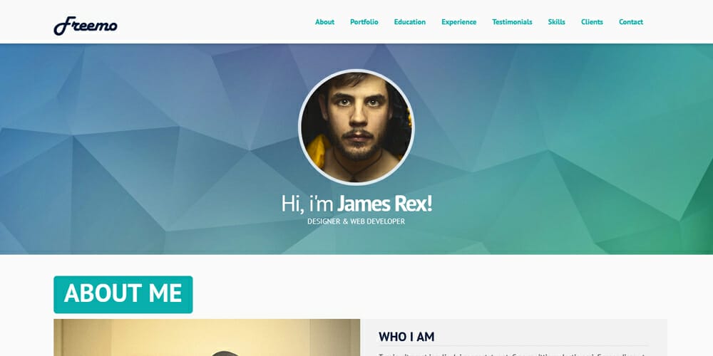 Free Portfolio Website Templates (PSD , HTML) 142 Freemo