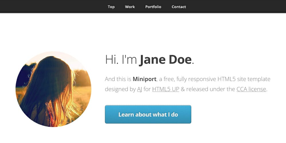Free Portfolio Website Templates (PSD , HTML) 147 Miniport