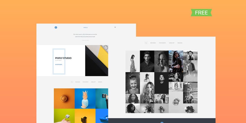 Free Portfolio Website Templates (PSD , HTML) 117 Pixfly Portfolio Web Template