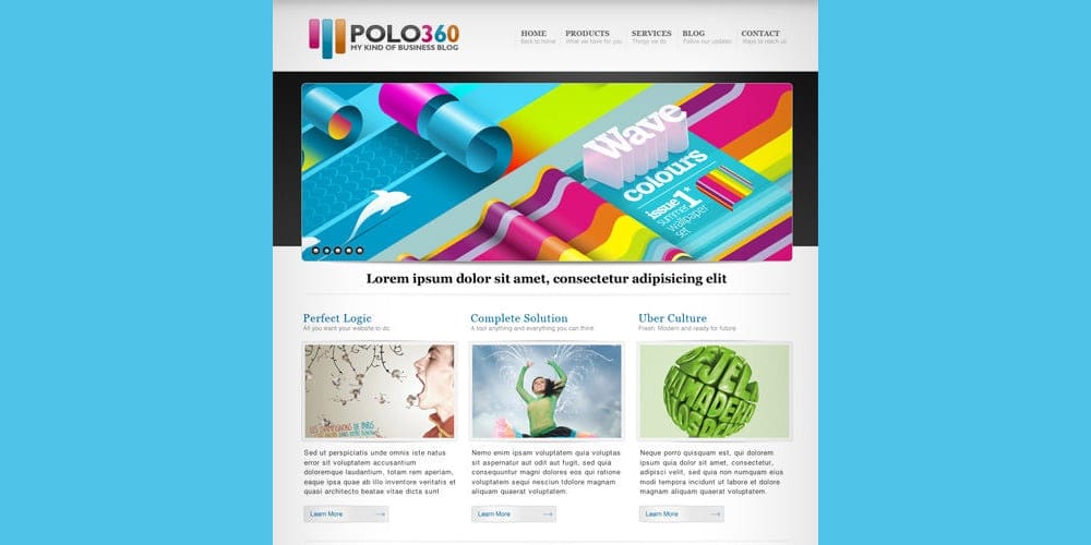 Free Portfolio Website Templates (PSD , HTML) 91 Polo360