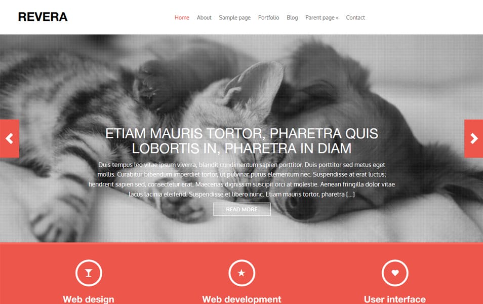 Revera WordPress Theme