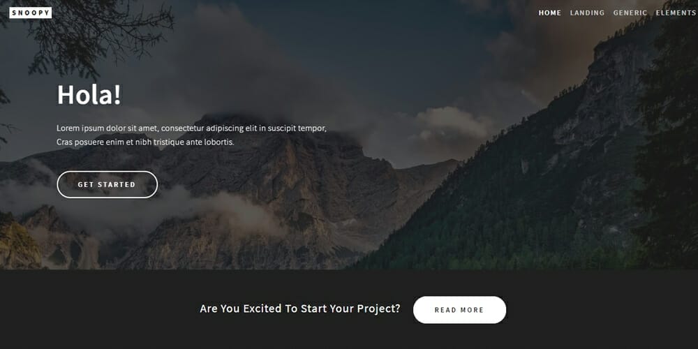 Free Portfolio Website Templates (PSD , HTML) 135 Snoopy