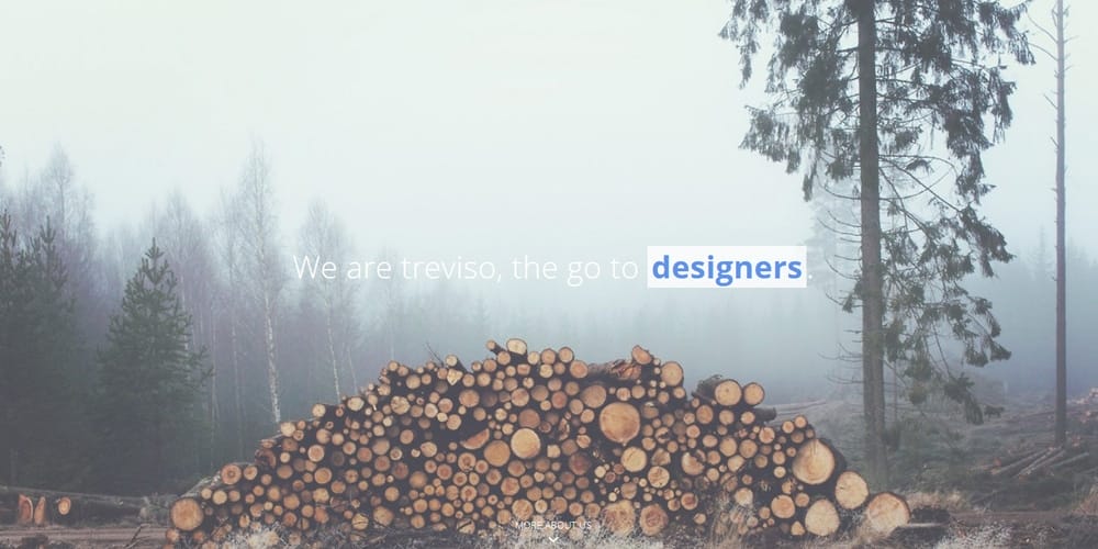 Free Portfolio Website Templates (PSD , HTML) 128 Treviso HTML Template