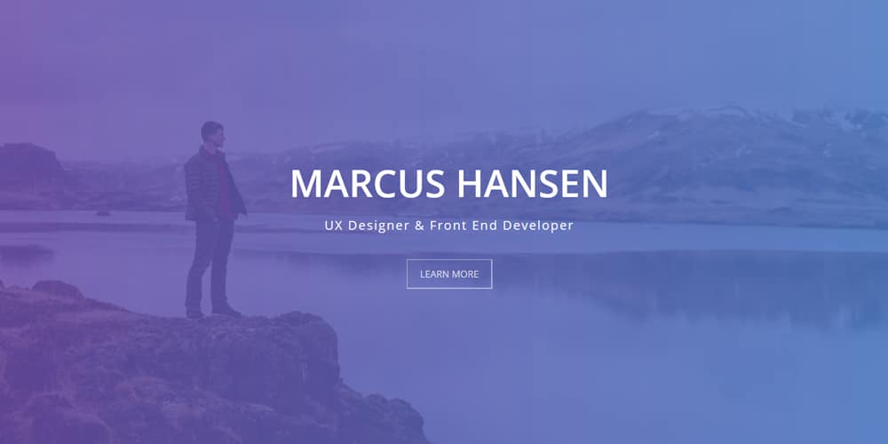 Free Portfolio Website Templates (PSD & HTML) 133 geek