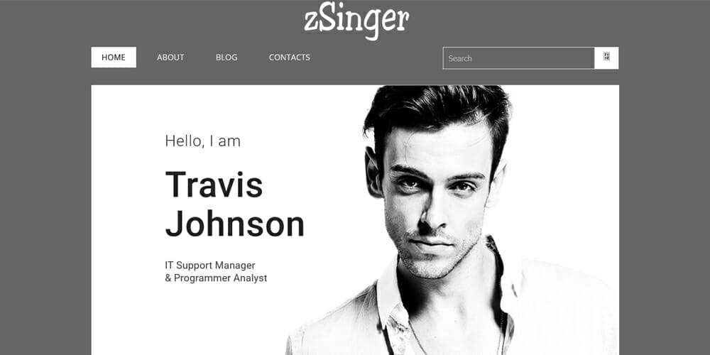 Free Portfolio Website Templates (PSD , HTML) 115 zSinger