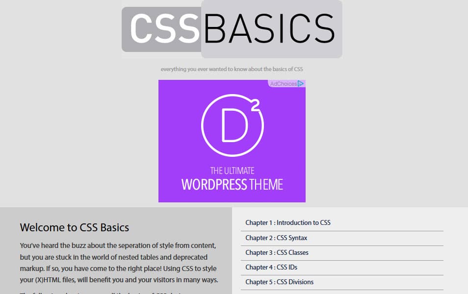 CSS Basics