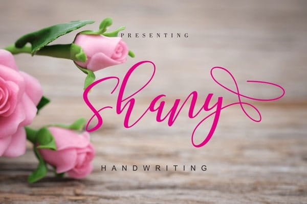 Shany Handwritten Typography