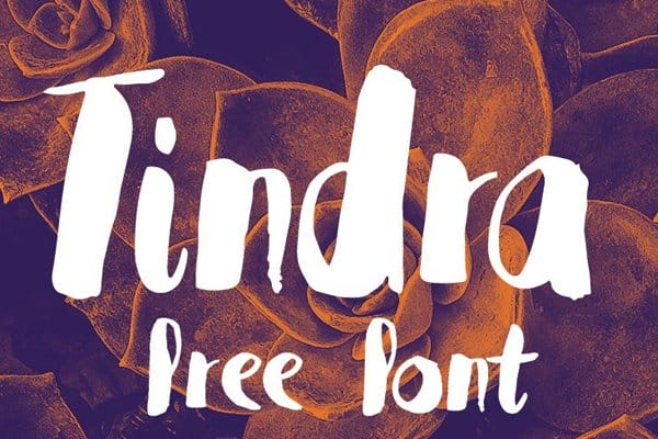 Tindra Free Font