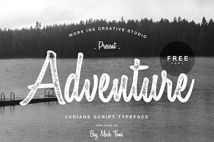 Best Free Retro Fonts for Designers 114 Variane Script Font