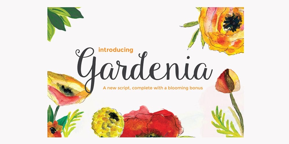 Gardenia Script