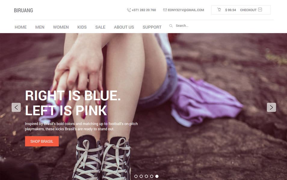 Biruang HTML Template