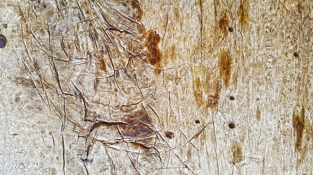 Free Wood Textures