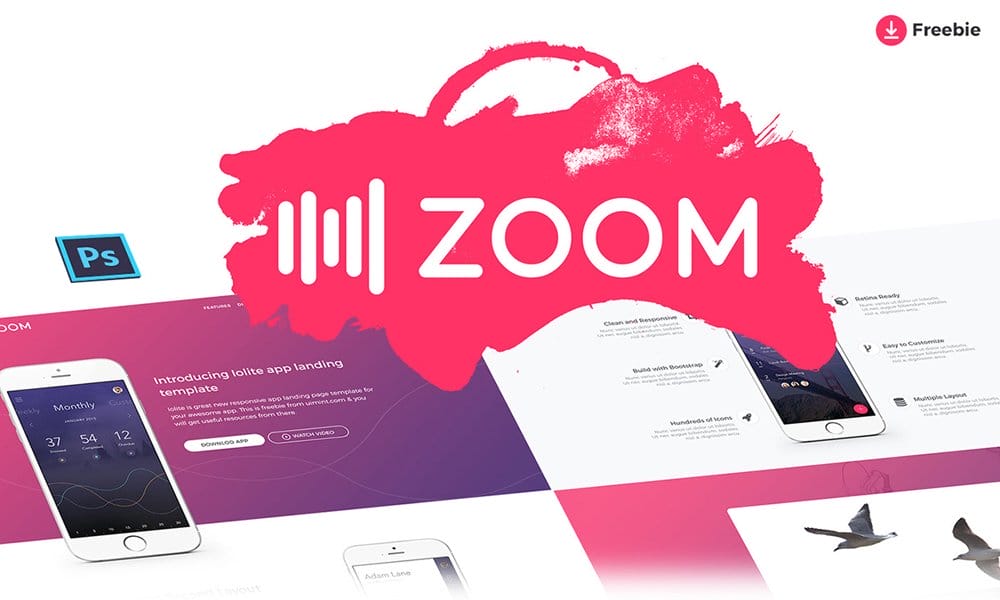 Zoom UI Kit PSD