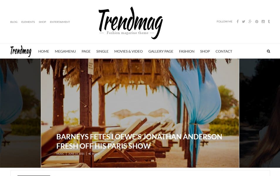 TrendMag Responsive WordPress Theme