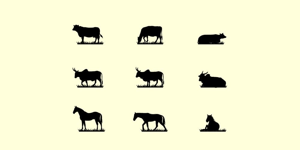 Animals Icons