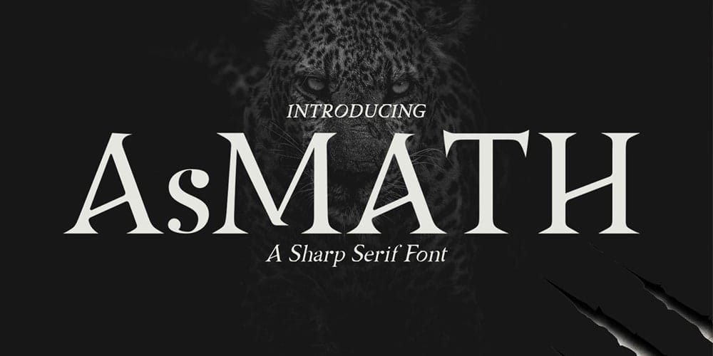 200+ Great Free Fonts for Designers 123 Asmath Serif Font