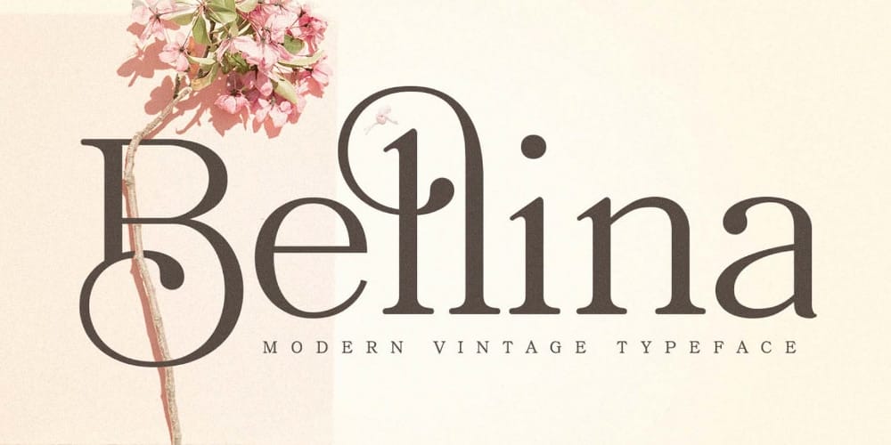 200+ Great Free Fonts for Designers 47 Bellina Typeface