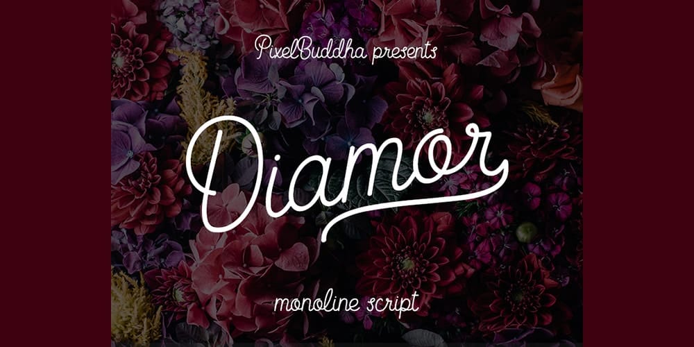 200+ Great Free Fonts for Designers 465 Diamor Script