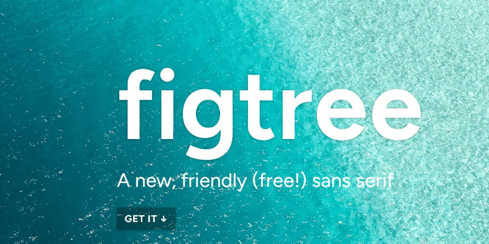 200+ Great Free Fonts for Designers 173 Figtree Font
