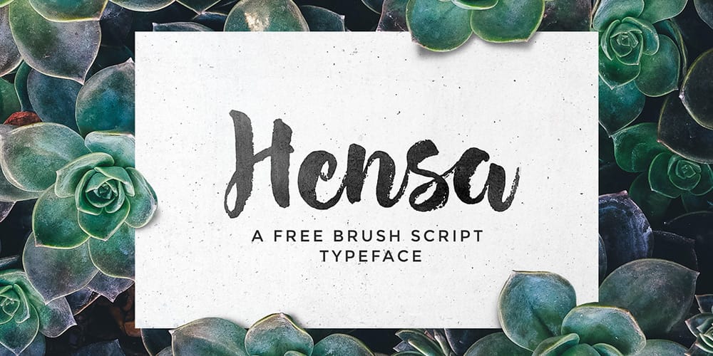 200+ Great Free Fonts for Designers 566 Hensa Brush Script Font