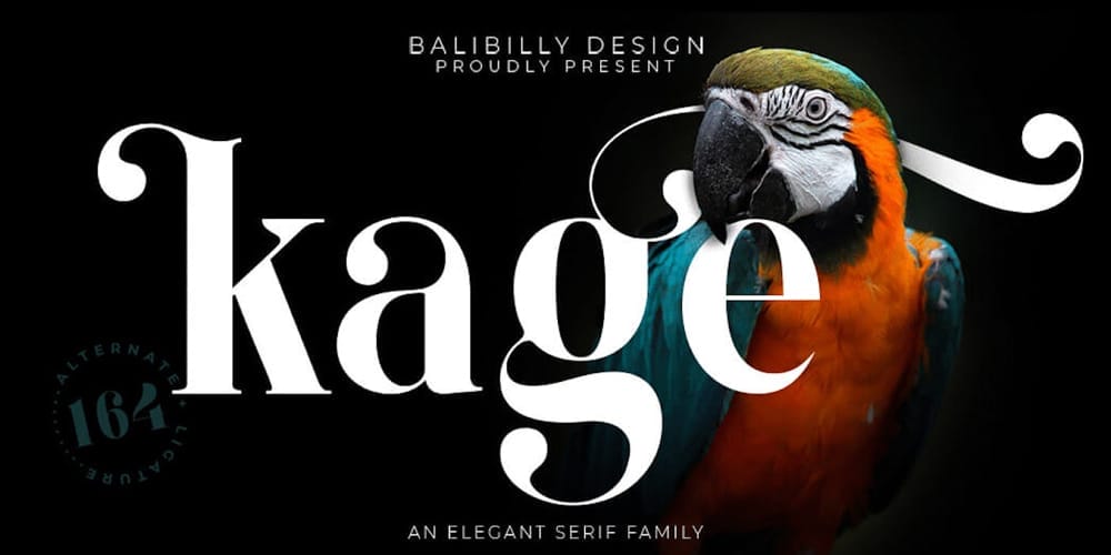 200+ Great Free Fonts for Designers 35 Kage Black