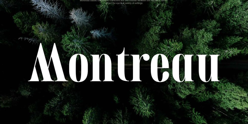 200+ Great Free Fonts for Designers 49 Montreau Serif Display Typeface