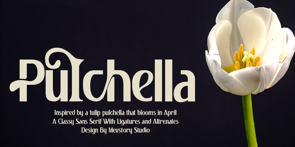 Pulchella Font