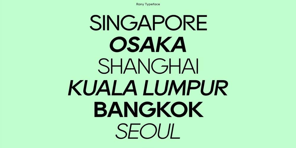 200+ Great Free Fonts for Designers 159 Rany Typeface