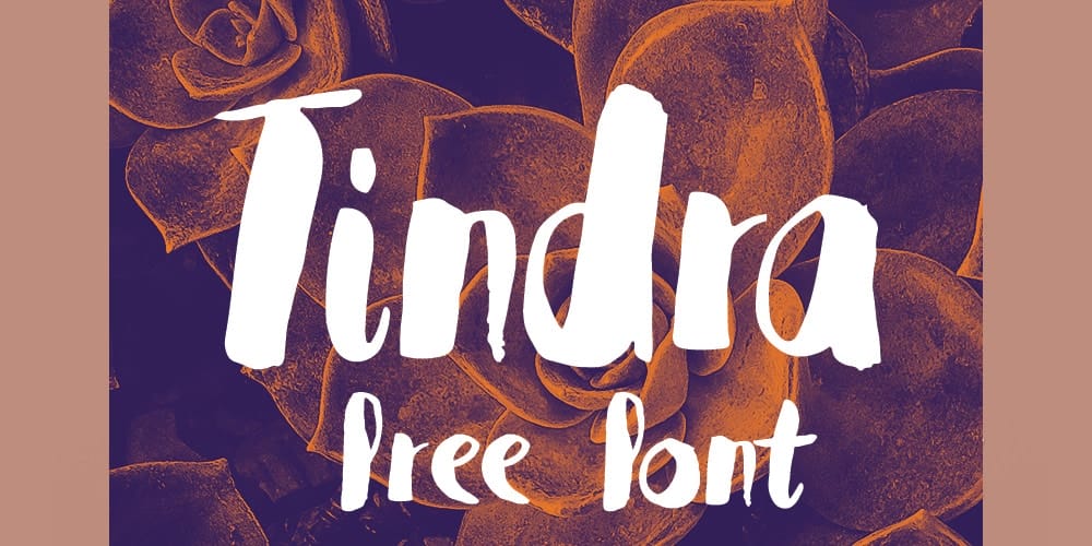 Tindra Free Font