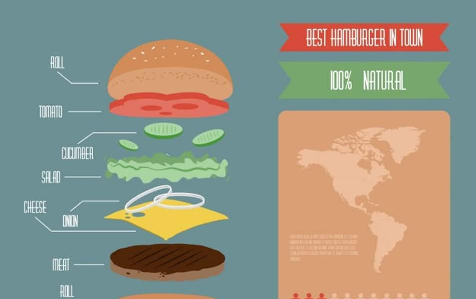 Colorful infographic of hamburger