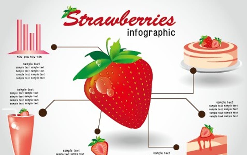 Creative food infographics elements