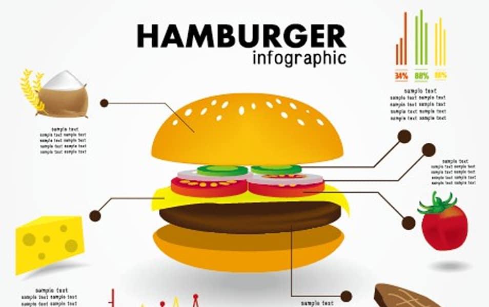 Food infographics elements vector