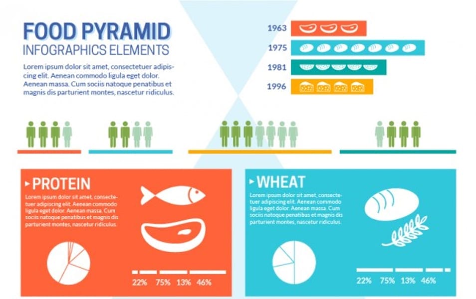 Food pyramid infographic