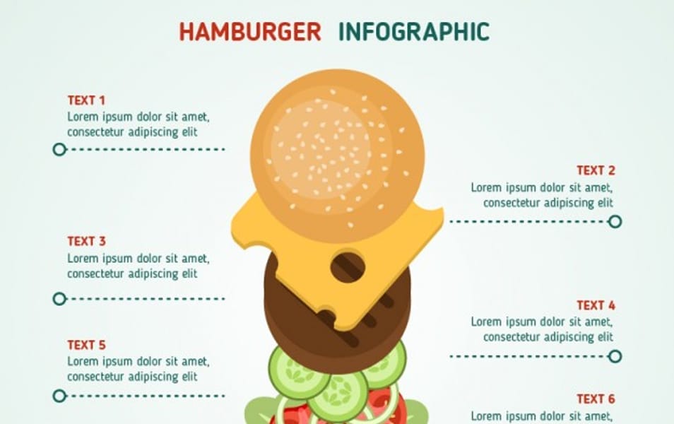 Hamburger infographic
