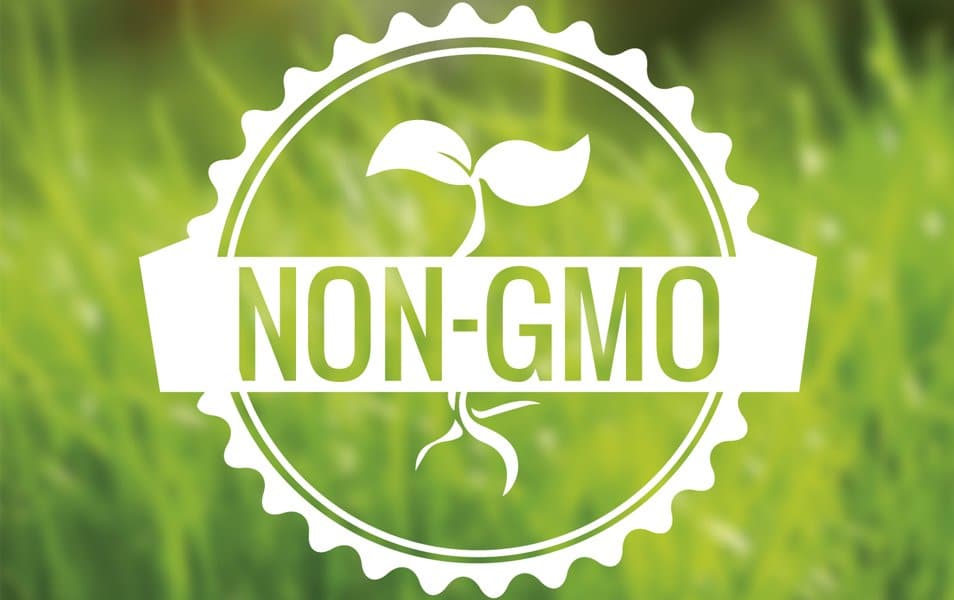 Non GMO food badge
