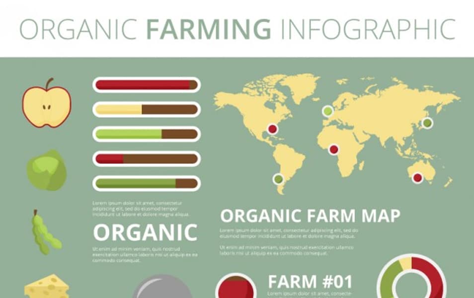 Organic food with ecological infography