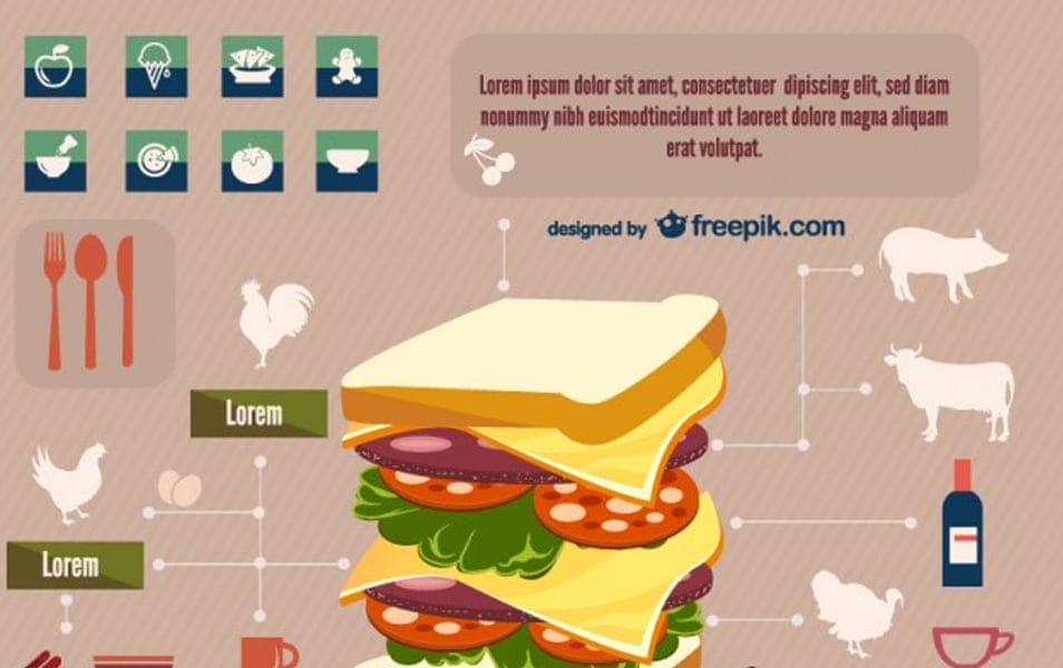 Sandwich infographic