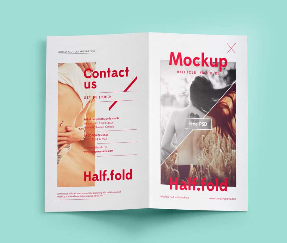 Psd Bi Fold Mockup Template