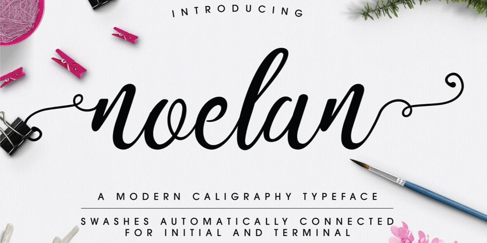 250 + Free Modern Script Fonts for Designers 377 Noelan Script