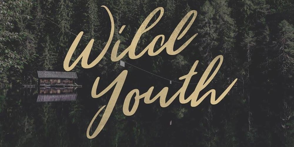 250 + Free Modern Script Fonts for Designers 374 Wild Youth Font
